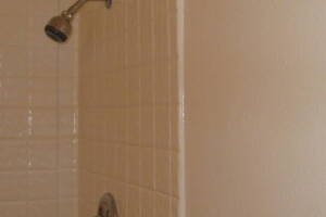 Remodel Bathroom Whole Facelift - Remodeling