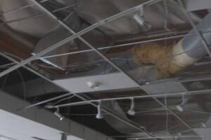 Remodel Commercial Demolition Retail Space - Remodeling
