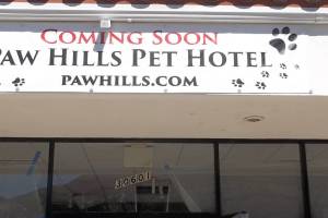 Remodel Commercial Demolition Retail Space - Remodeling