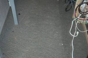 Remodel Commercial Retail Paint Renovation - Remodeling