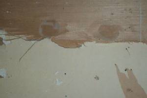 Remodel Commercial Retail Paint Renovation - Remodeling