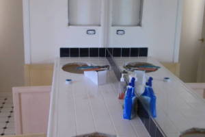 Remodel Residential Condo Demo - Remodeling