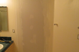 Remodel Residential Condo Demo - Remodeling