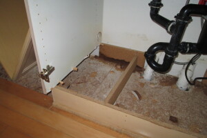 Remodel Residential Condo Demo - Remodeling