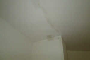 Remodel Residential Condo Demo - Remodeling