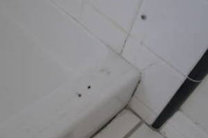 Remodel Residential Condo Demo - Remodeling