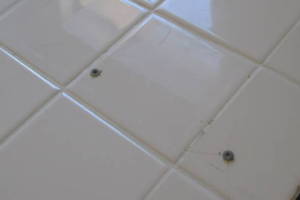 Remodel Residential Condo Demo - Remodeling