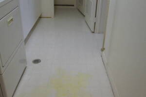 Remodel Residential Condo Demo - Remodeling