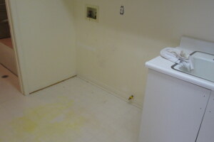Remodel Residential Condo Demo - Remodeling