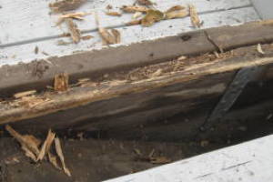 Remodel Residential Deck Lake Patio - Remodeling