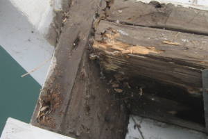 Remodel Residential Deck Lake Patio - Remodeling