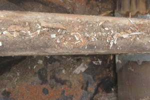 Remodel Residential Deck Lake Patio - Remodeling