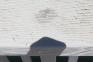 Remodel Residential Deck Lake Patio - Remodeling