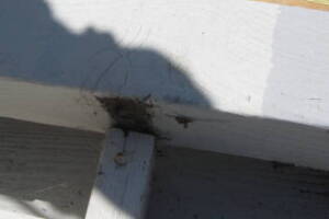 Remodel Residential Deck Lake Patio - Remodeling