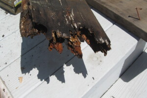 Remodel Residential Deck Lake Patio - Remodeling