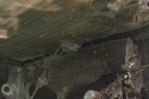 Remodel Residential Deck Lake Patio - Remodeling