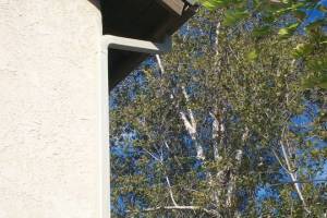 Remodel Residential Exterior Finish Carpentry - Remodeling