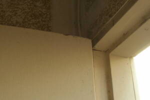 Remodel Residential Exterior Finish Carpentry - Remodeling