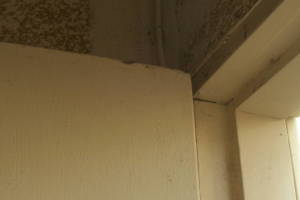 Remodel Residential Exterior Finish Carpentry - Remodeling