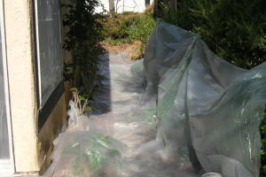 Remodel Residential Exterior Finish Carpentry - Remodeling