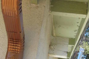 Remodel Residential Exterior Paint Facelift - Remodeling