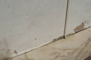 Remodel Residential Exterior Paint Facelift - Remodeling