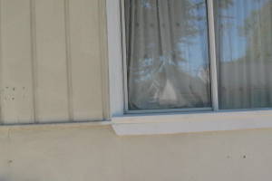Remodel Residential Exterior Paint Facelift - Remodeling