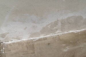 Remodel Residential Exterior Paint Facelift - Remodeling
