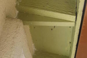 Remodel Residential Exterior Paint Facelift - Remodeling