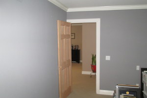 Remodel Residential Interior Facelift Doors - Remodeling