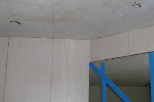 Remodel Residential Repairs Mobile Home - Remodeling