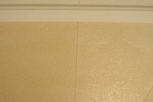 Remodel Residential Repairs Mobile Home - Remodeling