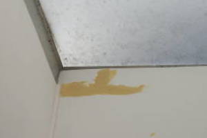 Remodel Residential Repairs Mobile Home - Remodeling