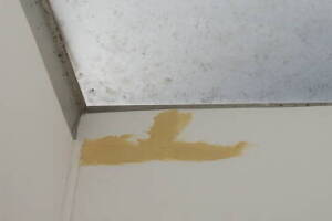 Remodel Residential Repairs Mobile Home - Remodeling