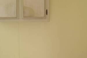 Remodel Residential Repairs Mobile Home - Remodeling