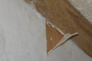 Remodel Residential Repairs Mobile Home - Remodeling