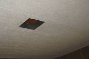 Remodel Residential Repairs Mobile Home - Remodeling
