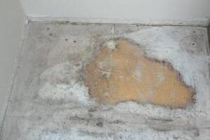 Remodel Kitchen Home Cabinets Flooring - Remodeling