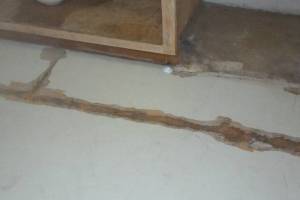 Remodel Kitchen Home Cabinets Flooring - Remodeling