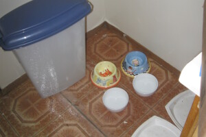 Remodel Kitchen Home Cabinets Flooring - Remodeling