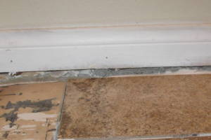 Remodel Kitchen Tile Flooring Cabinets - Remodeling