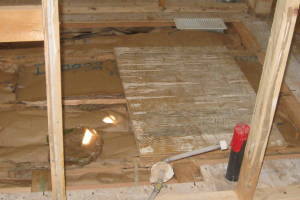 Remodel Renovation Subfloor Repairs - Remodeling