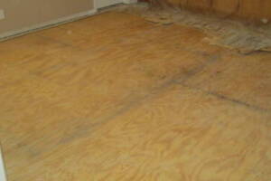 Remodel Renovation Subfloor Replaced - Remodeling