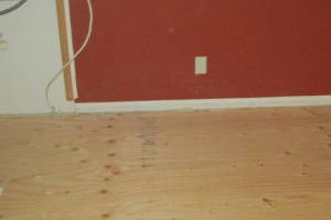 Remodel Renovation Subfloor Replaced - Remodeling