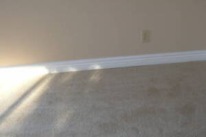 Remodel Renovation Water Damage Moulding - Remodeling