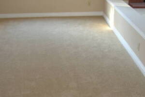 Remodel Renovation Water Damage Moulding - Remodeling