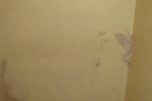 Remodel Renovation Water Damage Moulding - Remodeling