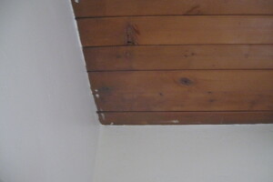 Repair Apartment Carpet Removal Stairs Paint - Repair