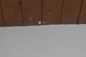 Repair Apartment Carpet Removal Stairs Paint - Repair