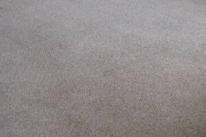 Repair Apartment Carpet Removal Stairs Paint - Repair